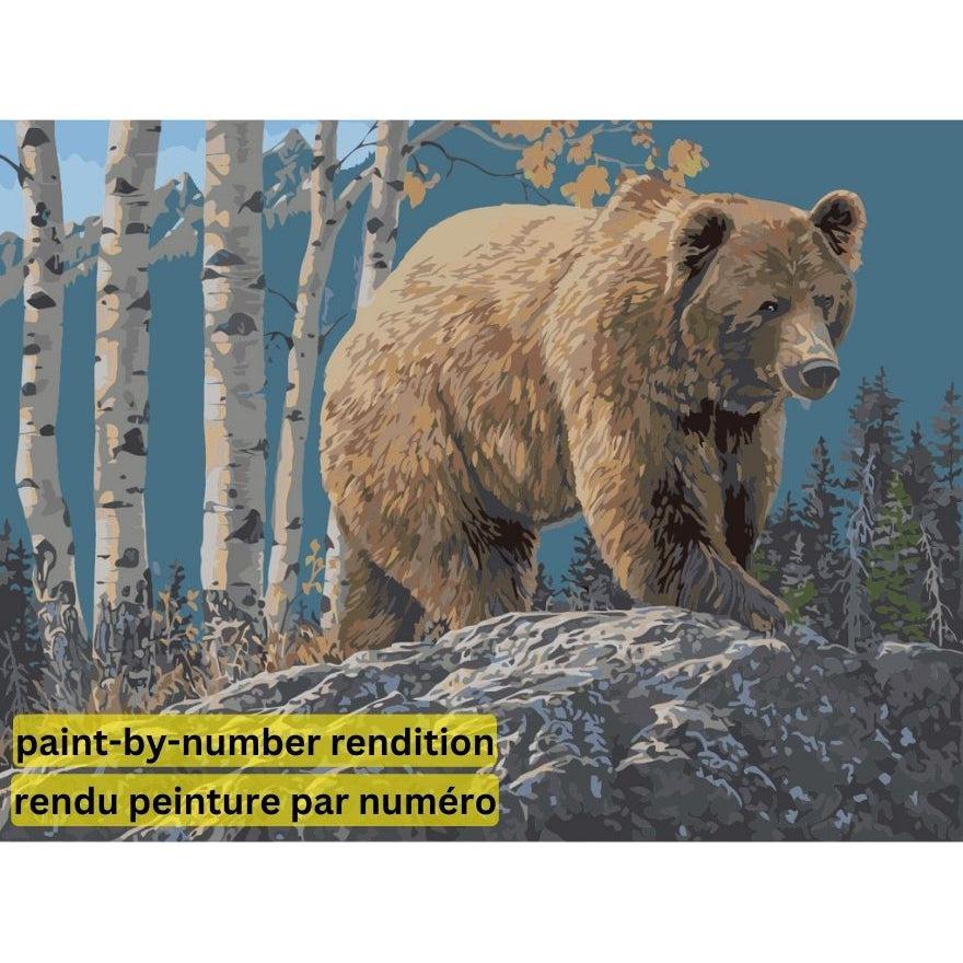 PAINT-BY-NUMBER Aspen Mountain Grizzly by Jeff Hoff-35x45cm-Paint-by-Number-DiamondArt.ca