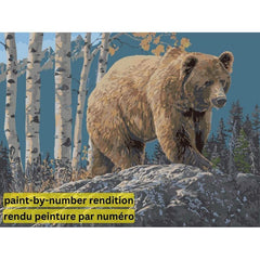 PAINT-BY-NUMBER Aspen Mountain Grizzly by Jeff Hoff-35x45cm-Paint-by-Number-DiamondArt.ca