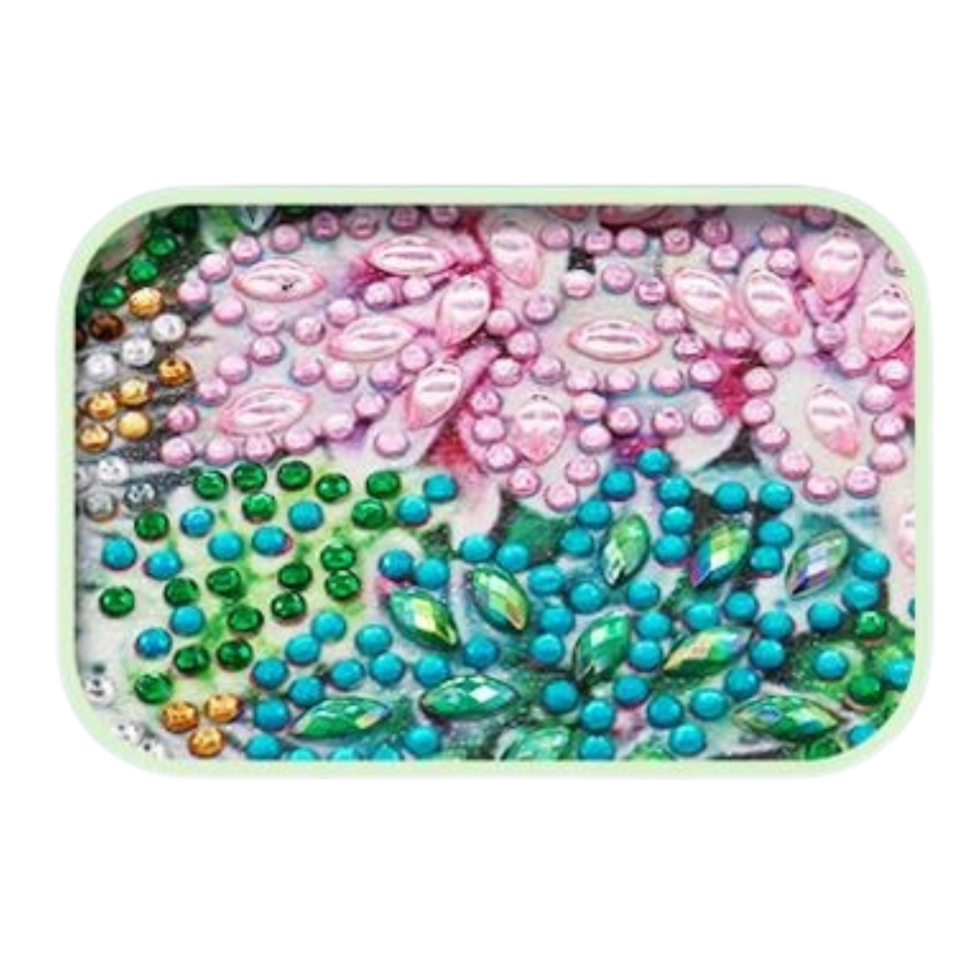 Hedgehog-25x25cm-Special-DiamondArt.ca