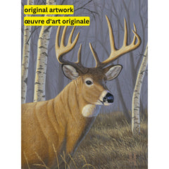 Sunlit Whitetail by Jeff Hoff-30x40cm-Square-DiamondArt.ca