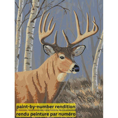 PAINT-BY-NUMBER Sunlit Whitetail by Jeff Hoff-35x45cm-Paint-by-Number-DiamondArt.ca