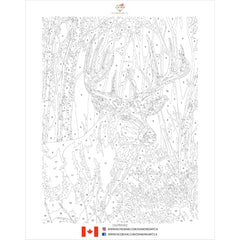 PAINT-BY-NUMBER Sunlit Whitetail by Jeff Hoff-35x45cm-Paint-by-Number-DiamondArt.ca