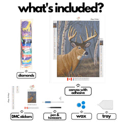 Sunlit Whitetail by Jeff Hoff-30x40cm-Square-DiamondArt.ca