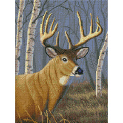 Sunlit Whitetail by Jeff Hoff-30x40cm-Square-DiamondArt.ca