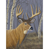 Sunlit Whitetail by Jeff Hoff-30x40cm-Square-DiamondArt.ca