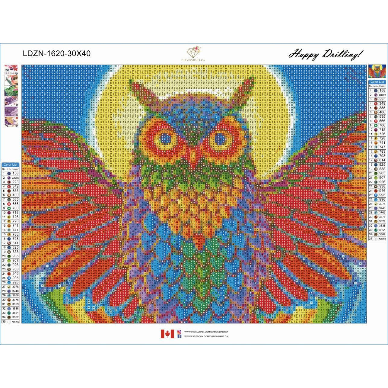 Rainbow Owl by Rebecca Wang Art-30x40cm-Round-DiamondArt.ca