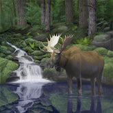 Woodland Moose by Chris Dobrowolski-40x40cm-Round-DiamondArt.ca
