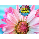 Crystal Canvas Pink Daisy-30x40cm-Round-DiamondArt.ca