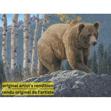 PAINT-BY-NUMBER Aspen Mountain Grizzly by Jeff Hoff-35x45cm-Paint-by-Number-DiamondArt.ca