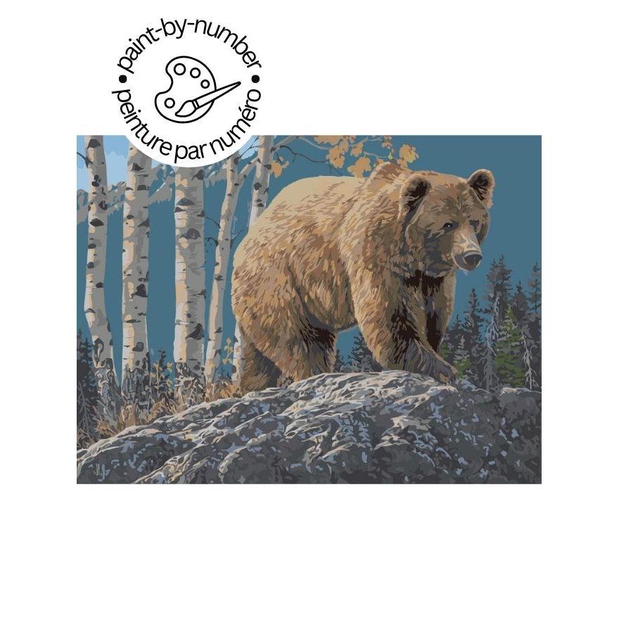 PAINT-BY-NUMBER Aspen Mountain Grizzly by Jeff Hoff-35x45cm-Paint-by-Number-DiamondArt.ca