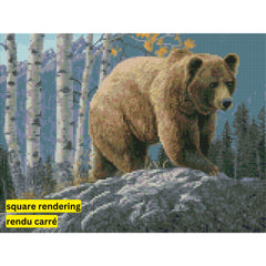 Aspen Mountain Grizzly by Jeff Hoff-30x40cm-Square-DiamondArt.ca
