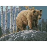 Aspen Mountain Grizzly by Jeff Hoff-35x45cm-Round-DiamondArt.ca
