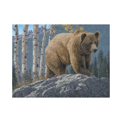 Aspen Mountain Grizzly by Jeff Hoff-30x40cm-Square-DiamondArt.ca