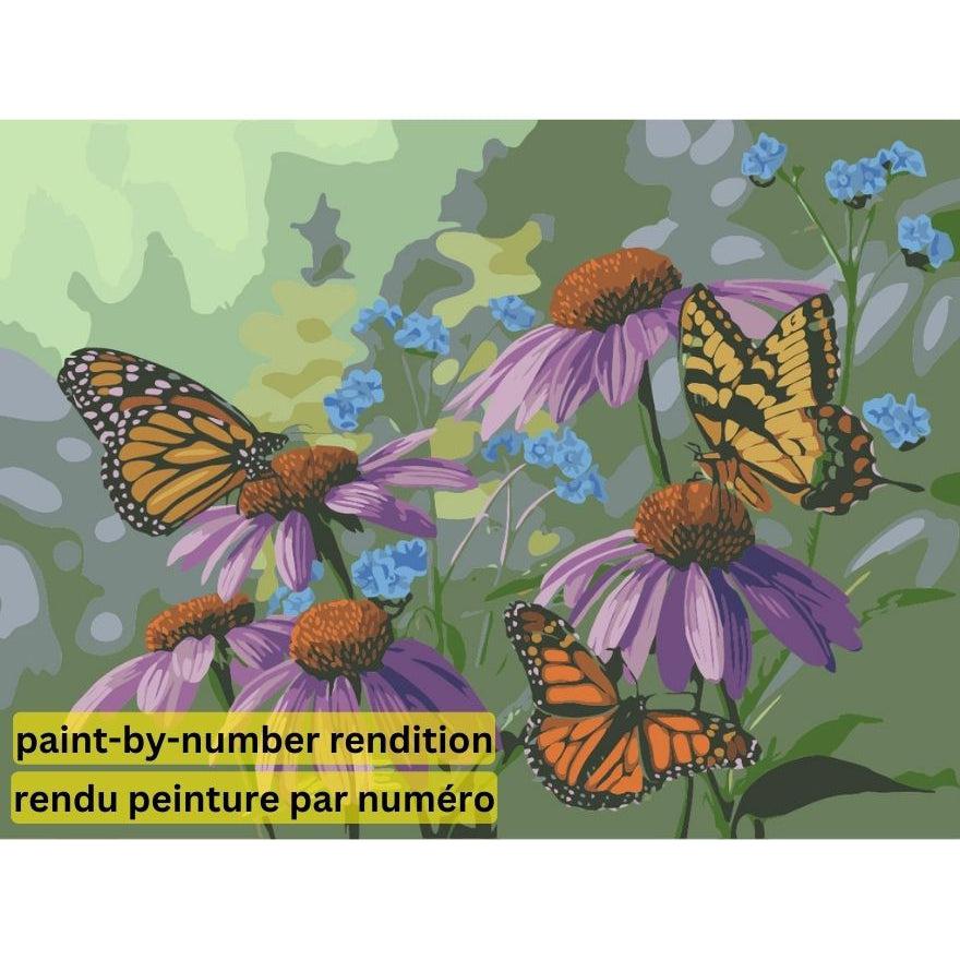 PAINT-BY-NUMBER Butterfly Garden by Jeff Hoff-35x45cm-Paint-by-Number-DiamondArt.ca