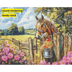 Charlie by Tom Crehan-40x50cm-Round-DiamondArt.ca