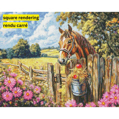 Charlie by Tom Crehan-40x50cm-Round-DiamondArt.ca