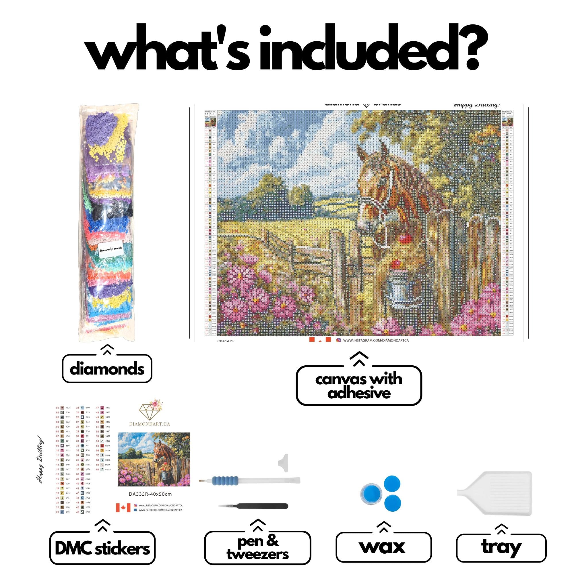 Charlie by Tom Crehan-40x50cm-Round-DiamondArt.ca