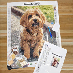 Premium Custom Diamond Painting Kit - WILL NOT ARRIVE BEFORE CHRISTMAS-30 x 30 cm-Round-DiamondArt.ca