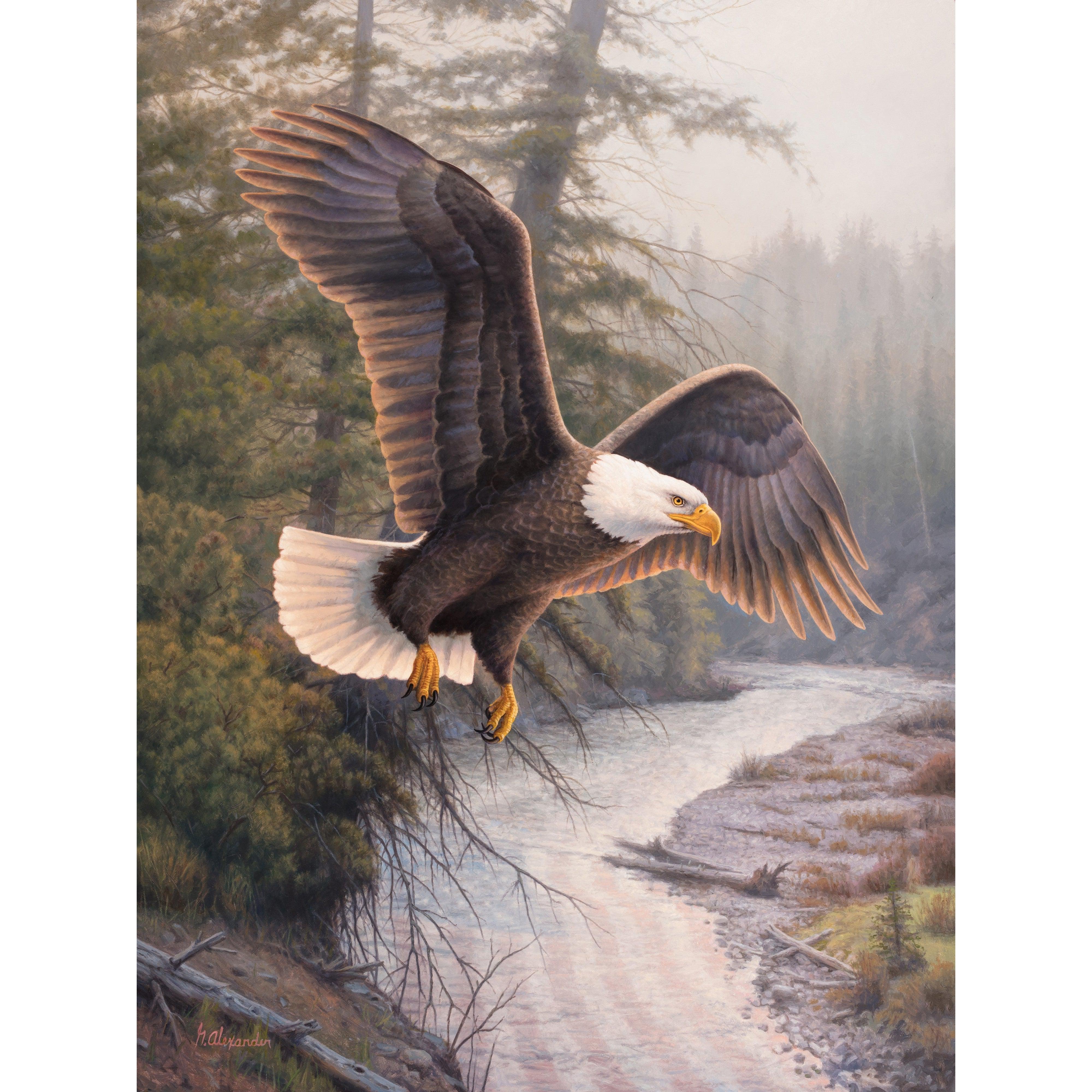 Eagle Patriot by Greg Alexander-35x45cm-Round-DiamondArt.ca