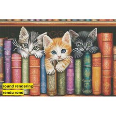 Kittens on a Bookshelf by Imagine It Images-40x60cm-Round-DiamondArt.ca