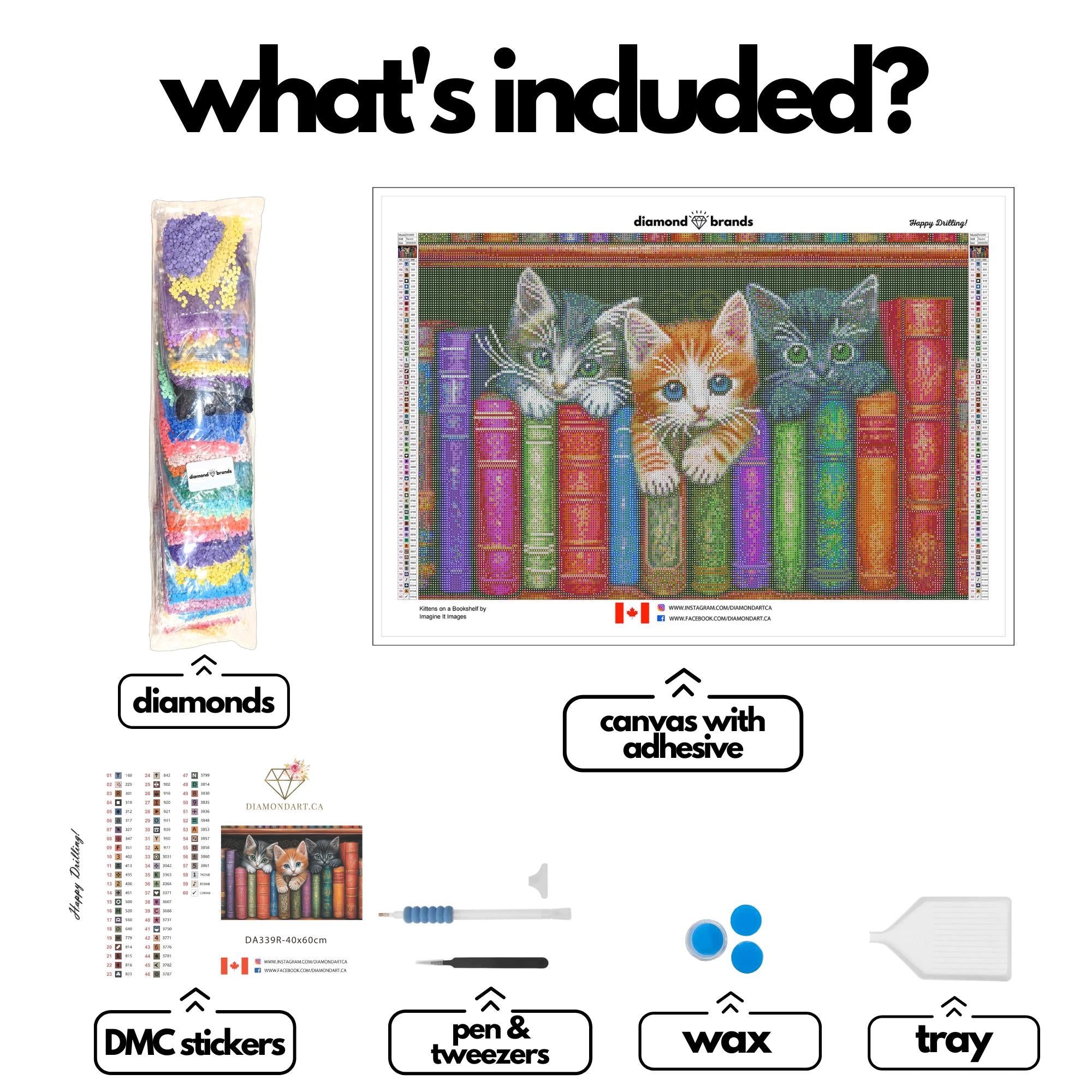 Kittens on a Bookshelf by Imagine It Images-40x60cm-Round-DiamondArt.ca