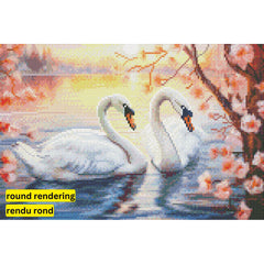 Love Swans by Imagine It Images-30x45cm-Round-DiamondArt.ca
