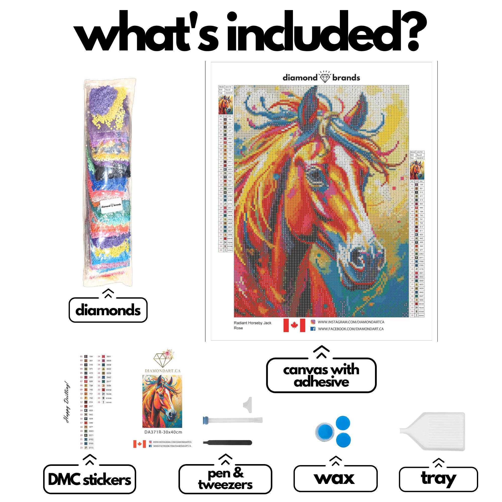 Radiant Horse by Jack Rose-30x40cm-Round-DiamondArt.ca