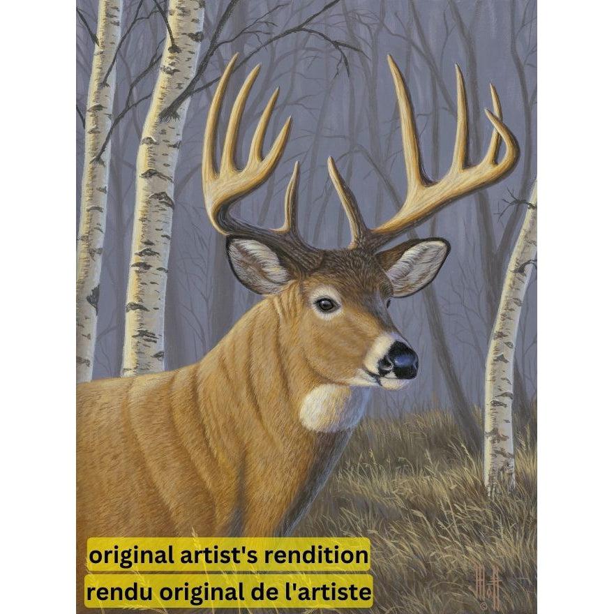 PAINT-BY-NUMBER Sunlit Whitetail by Jeff Hoff-35x45cm-Paint-by-Number-DiamondArt.ca