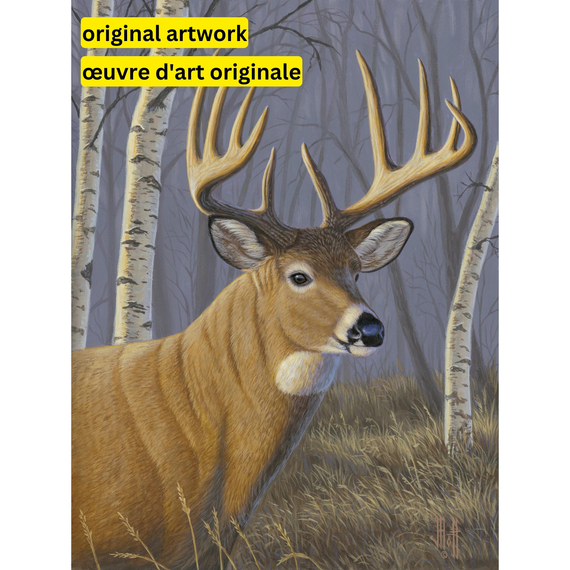 Sunlit Whitetail by Jeff Hoff-30x40cm-Square-DiamondArt.ca