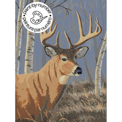 PAINT-BY-NUMBER Sunlit Whitetail by Jeff Hoff-35x45cm-Paint-by-Number-DiamondArt.ca