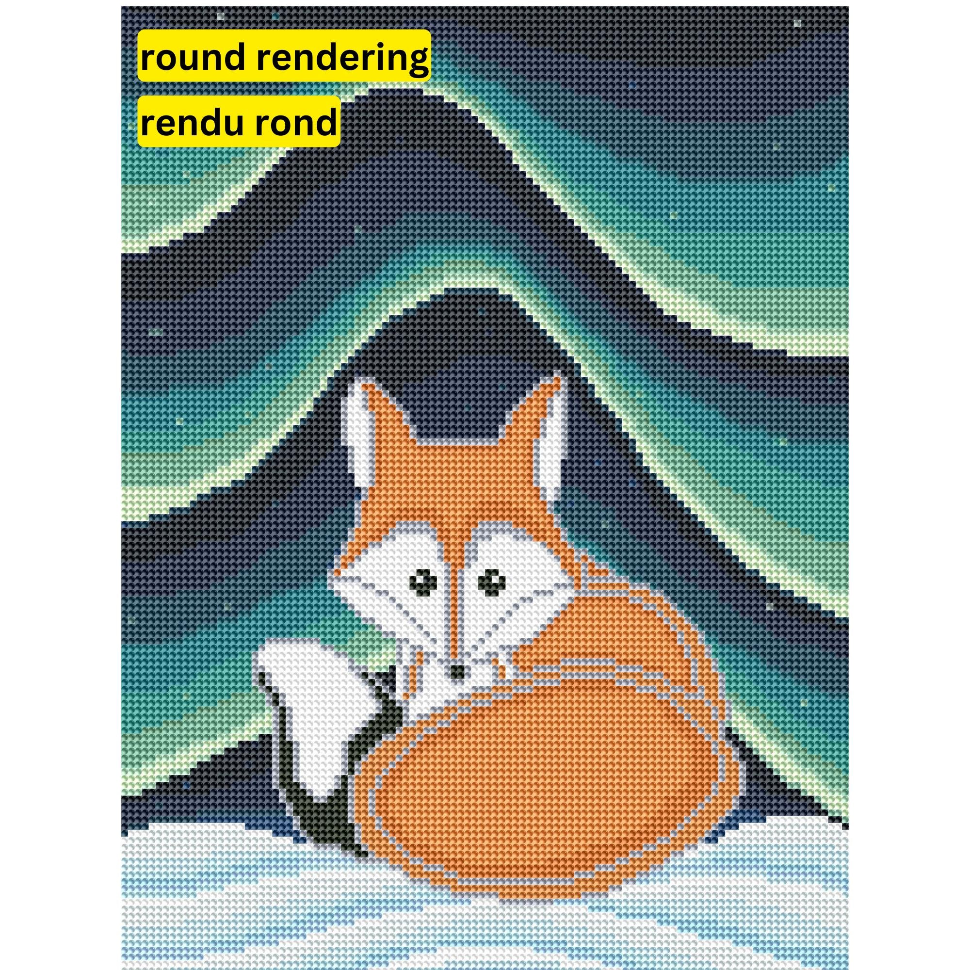 Vixen and the Aurora by Robbie Craig-30x40cm-Round-DiamondArt.ca