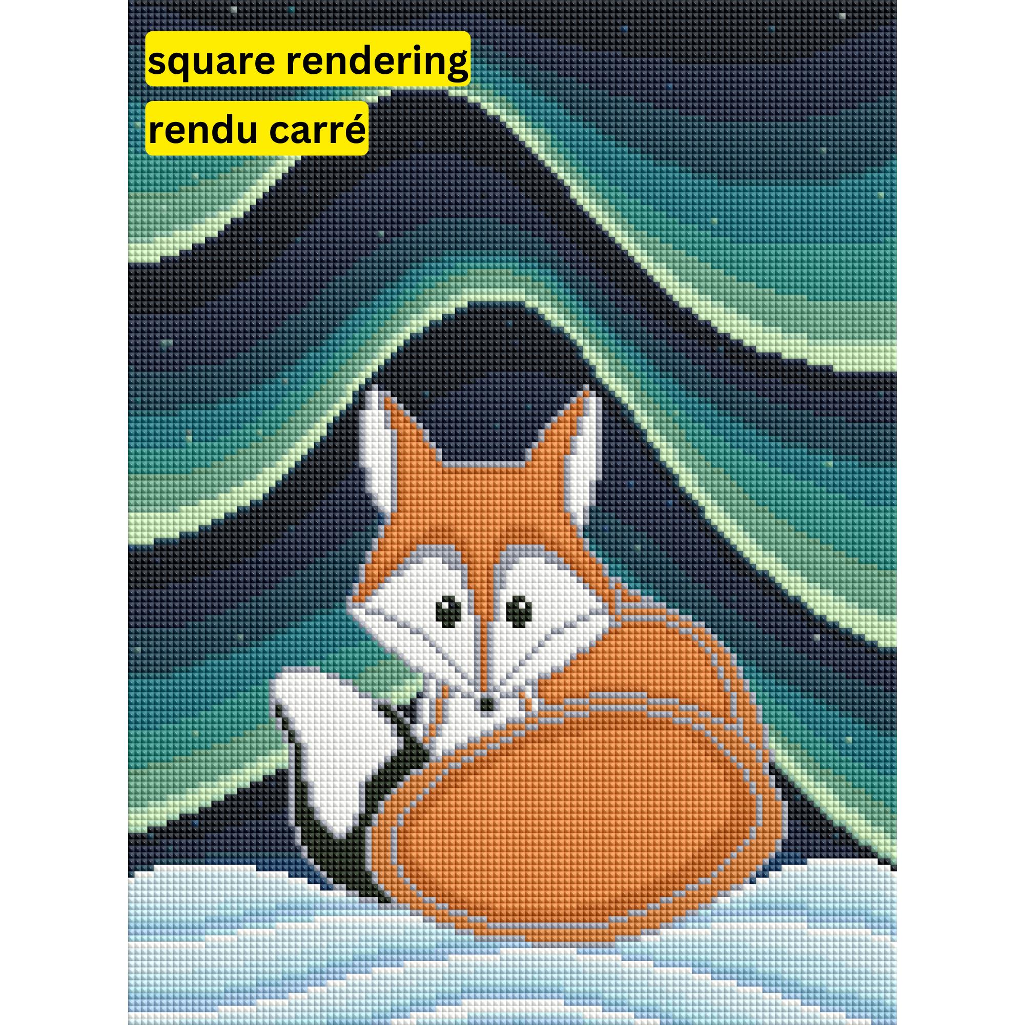 Vixen and the Aurora by Robbie Craig-30x40cm-Round-DiamondArt.ca