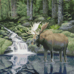 Woodland Moose by Chris Dobrowolski-40x40cm-Round-DiamondArt.ca