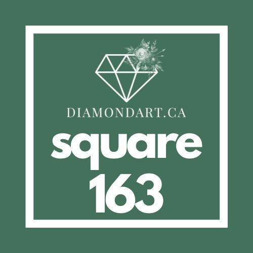 Square Diamonds (500 Diamonds)-500 diamonds (3 grams)-163-DiamondArt.ca