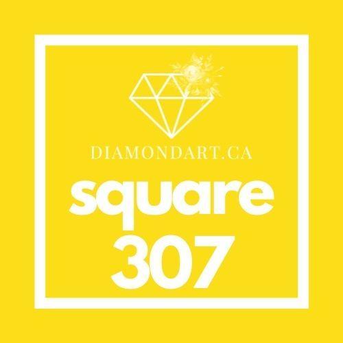 Square Diamonds (500 Diamonds)-500 diamonds (3 grams)-307-DiamondArt.ca