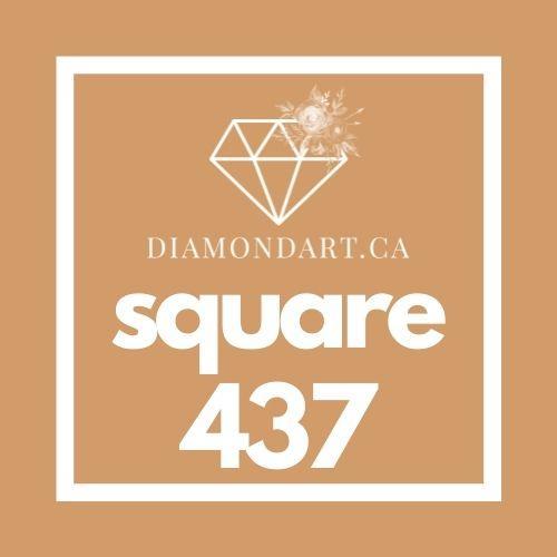 Square Diamonds (500 Diamonds)-500 diamonds (3 grams)-437-DiamondArt.ca