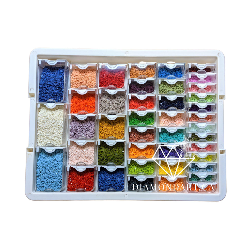 42_Organizing_System_31a5ba45-