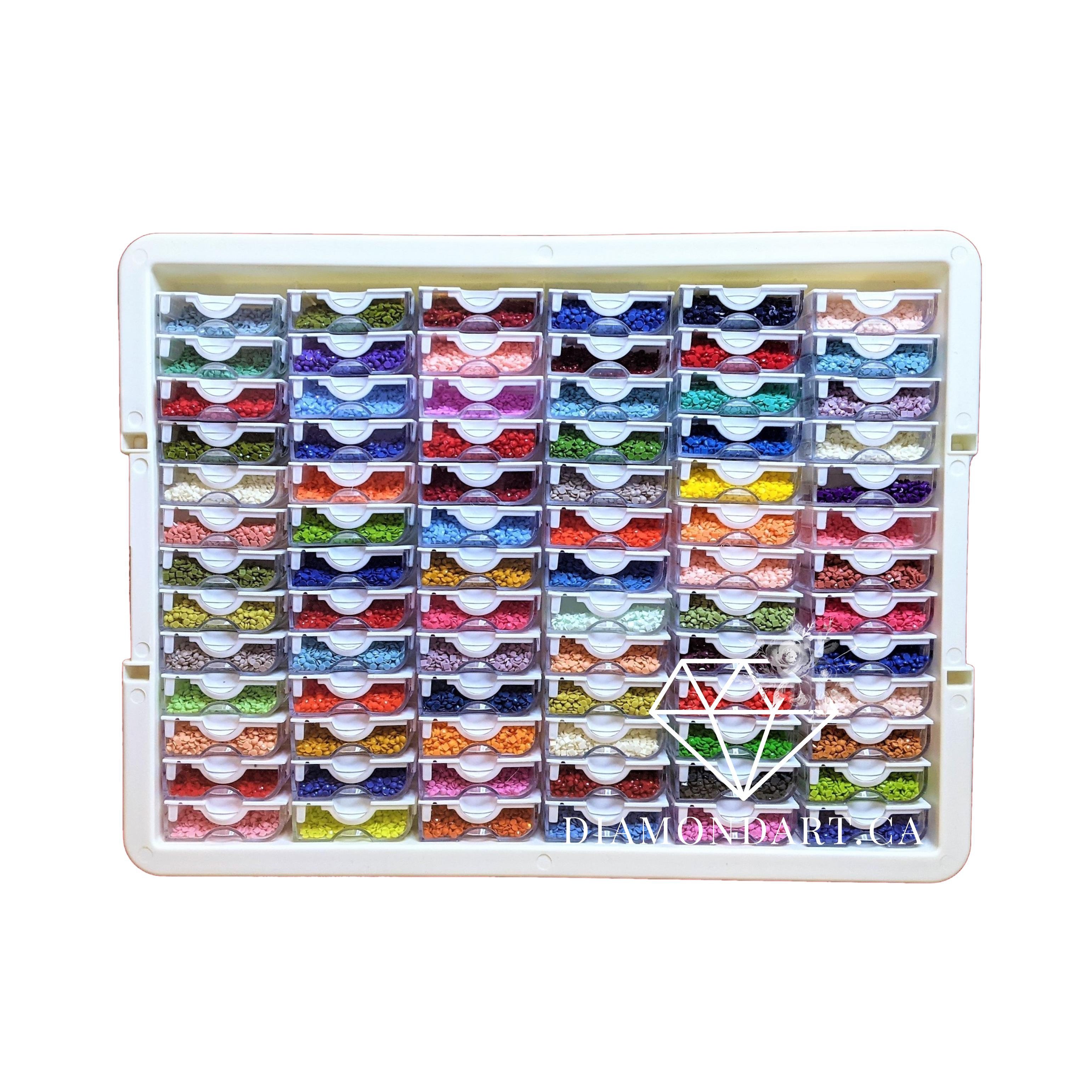 New Style Bead Storage Solutions Tiny Container Organizer with 78 Tiny  Containers Tray and Lid for