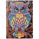 Colourful Owl Notebook