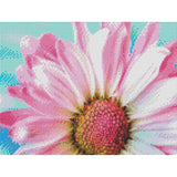 Crystal Canvas Pink Daisy-35x45cm-Round-DiamondArt.ca