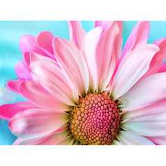 Crystal Canvas Pink Daisy-30x40cm-Round-DiamondArt.ca