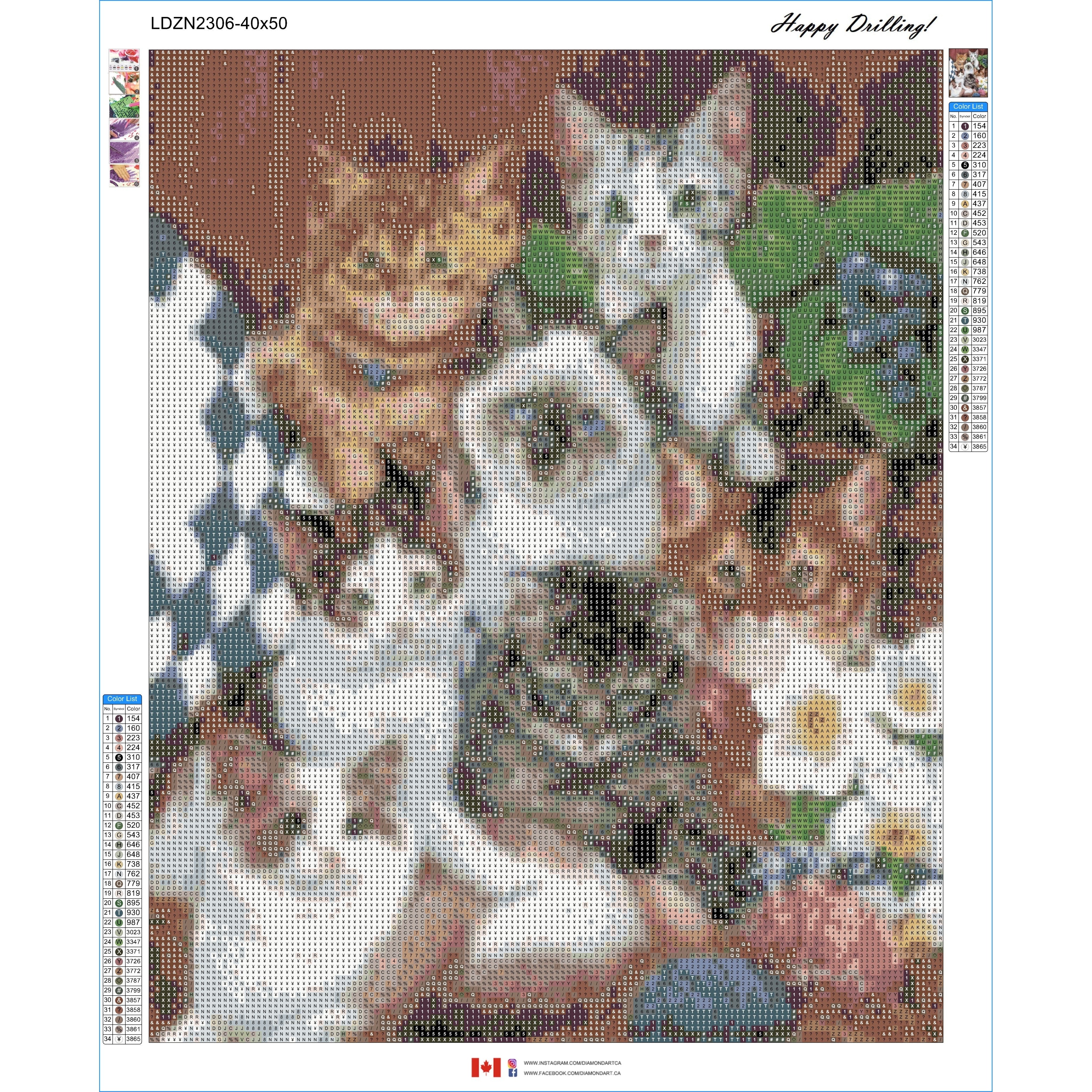 Cuddly Kittens by Jenny Newland-35x45cm-Round-DiamondArt.ca