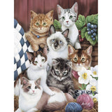 Cuddly Kittens by Jenny Newland