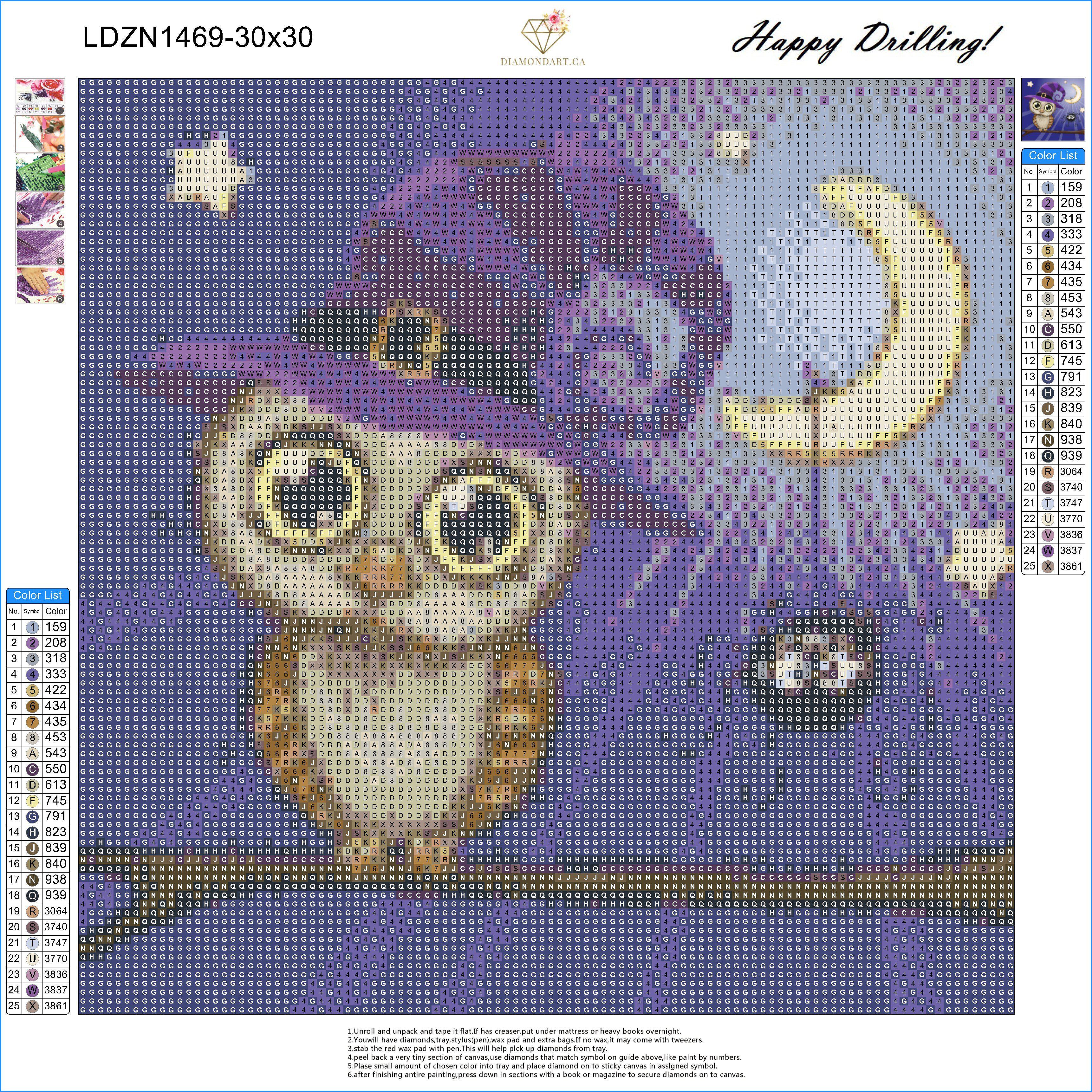 Halloween Owl-35x35cm-Square-DiamondArt.ca