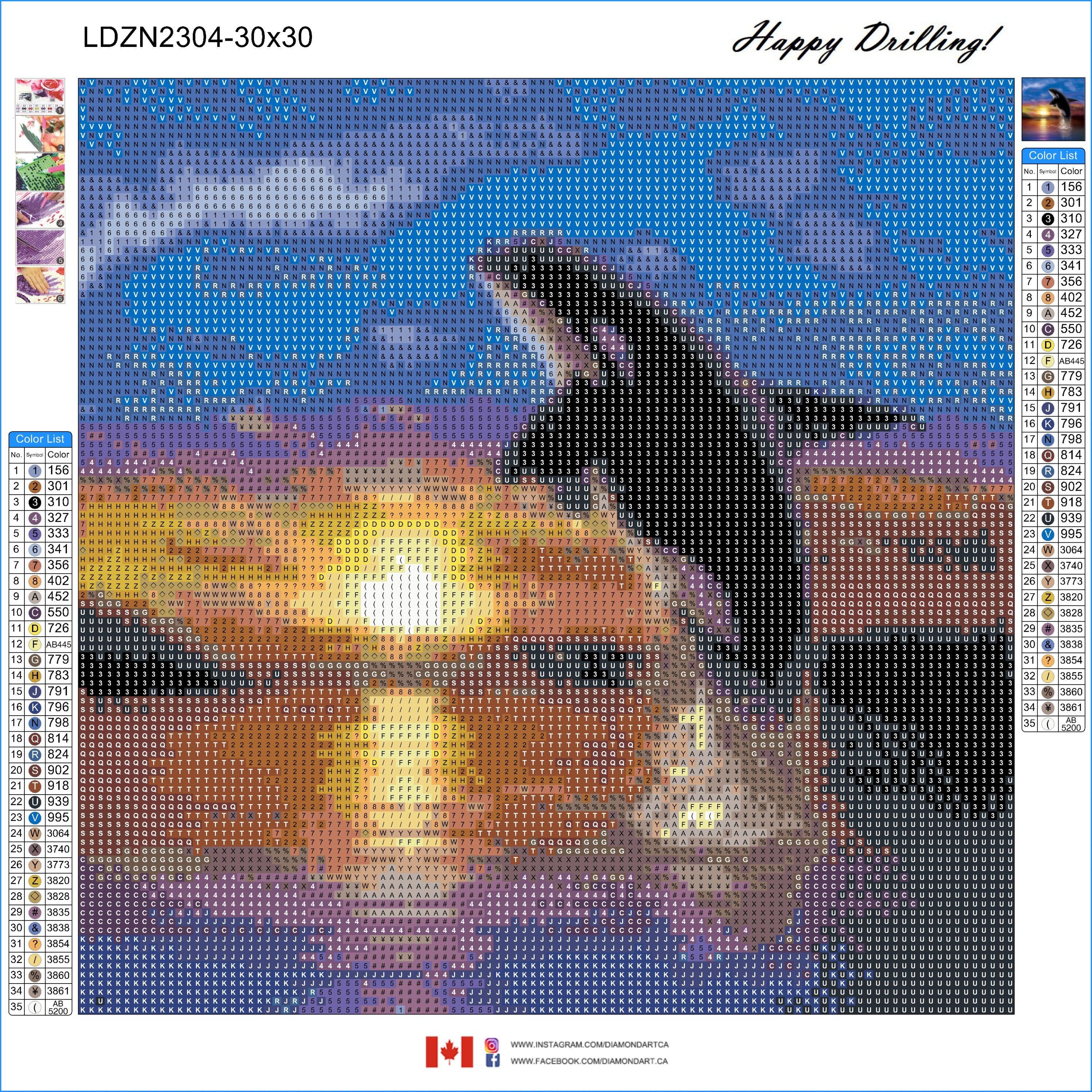 Orca Sunrise by Chris Dobrowolski-35x35cm-Round-DiamondArt.ca