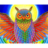 Rainbow Owl by Rebecca Wang Art-35x45cm-Round-DiamondArt.ca