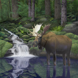 Woodland Moose by Chris Dobrowolski