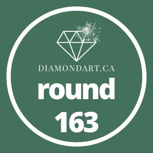 Round Diamonds DMC 100 - 499-500 diamonds (3 grams)-163-DiamondArt.ca