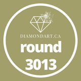 Round Diamonds DMC 900 - 3299-500 diamonds (3 grams)-3013-DiamondArt.ca