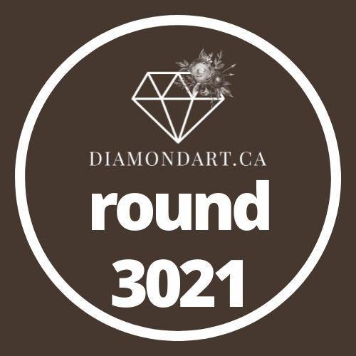 Round Diamonds DMC 900 - 3299-500 diamonds (3 grams)-3021-DiamondArt.ca